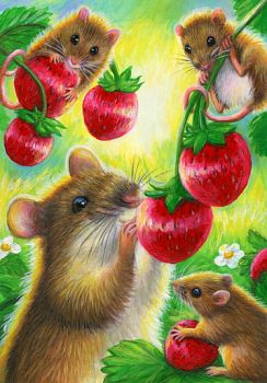 Mice and strawberries