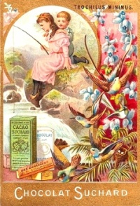 Themes Vintage ads - Chocolat Suchard