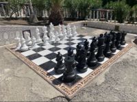 Game of chess anyone?
