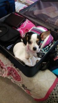 Mummy I want to come too!