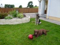 Ollie and Phoebe