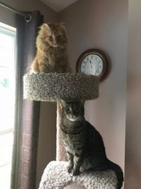 Kit and Rocko