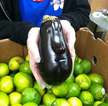 People Faced Eggplant