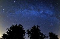 Thousands of stargazers cast their eyes up to watch the Perseid meteor shower.