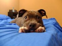 Give us a smile