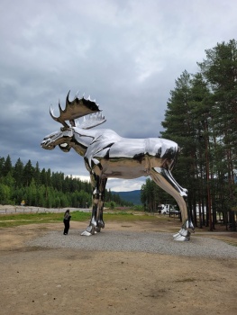 Solve Big Silver Moose , Norway jigsaw puzzle online with 204 pieces