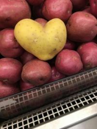 Don't ya just Luv Taters?