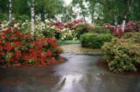 Rhododendrons festival, Burnaby,BC
