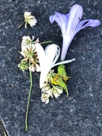 Abandoned flowers