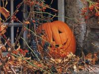 Halloween pumpkin 2