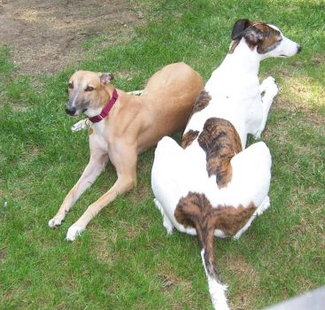 Gypsy & Logan