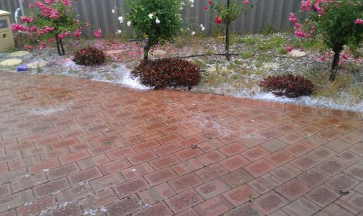 Hail storm my front garden.