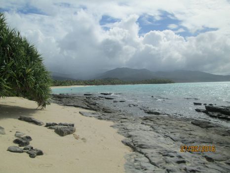 South Pacific Tropical Beach