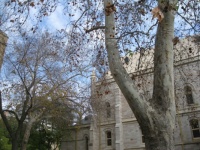 Adelaide winter