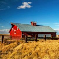 Small Red Barn In Montana...