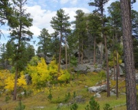 Custer Park, South Dakota