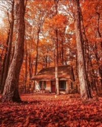 Log Cabin in Autumn Splendor