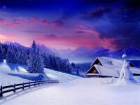 Beautiful Winter Snow