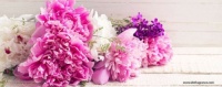 The-charm-of-the-flowers-02-858x338