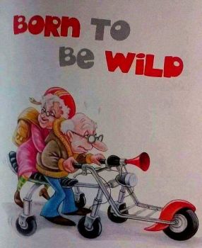 Born to be wild - a great movie once upon a time :-)