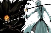 Bleach Ichigo 