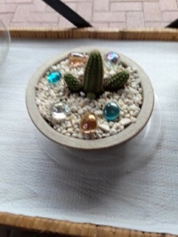Small Saguaro Cactus