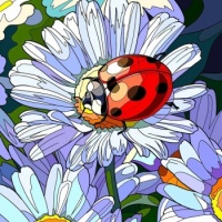 Ladybug, Ladybug, Fly Away Home 🐞