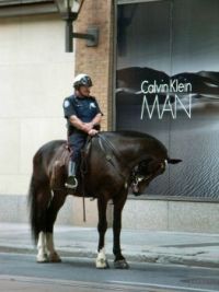 Toronto Policeman