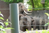 250604-04 artis