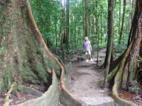 Cairns