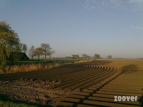 Farmland Zaamslag. NL