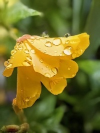 💦 Raindrops 💦