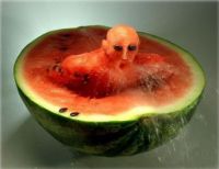 phelps melon