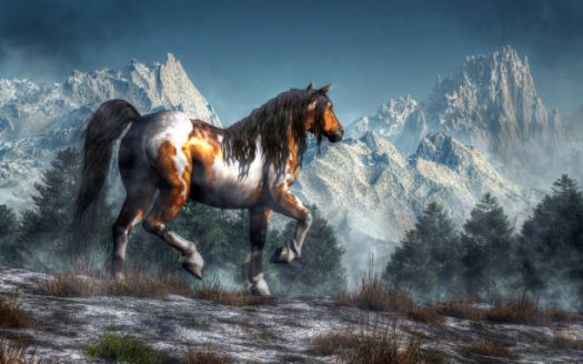 "Winter Horse"