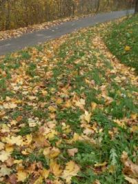 Autumn...