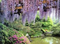 BEAUTIFUL JAPANESE GARDEN...