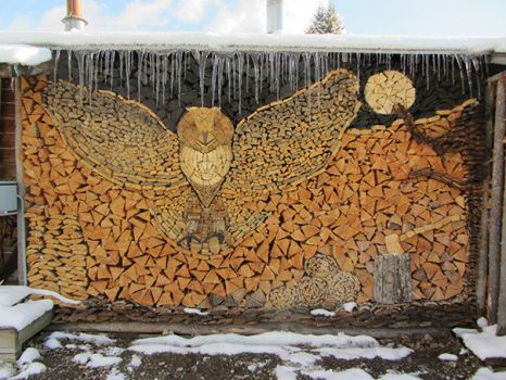 An owl in the wood pile