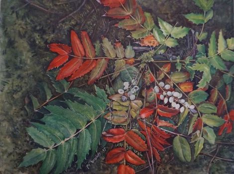 Oregon Grape painting by PF Brown