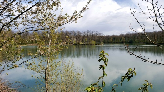 Plan d'eau de Cernay (68)