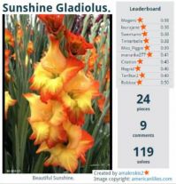 Amakrokis2's Sunshine Gladiolus