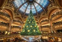 Christmas Tree in Paris~Galleries Lafayette
