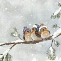 Winter Birds 3