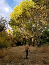 A lovely place to walk in Autumn