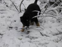 Snow for the first time