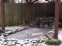 Our Pond in January 2014