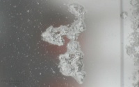 Snow piling up on ice (viloplats för snö)