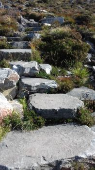 Ben Wyvis stone path = Munro mountain near Garve Scottish Highlands