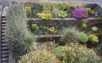 An Irish castle’s herb garden . .
