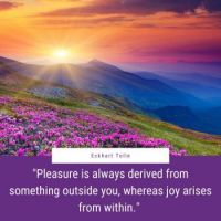 joy arises from within