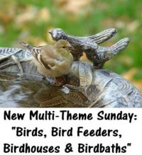 New Themes Sunday: "BIRDS, BIRDFEEDERS, BIRDHOUSES & BIRDBATHS"  Enjoy
